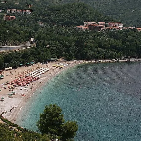 Dalex Apartament